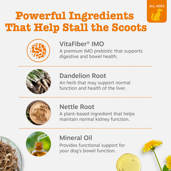 Infographic showing four ingredients for dog digestive health: VitaFiber IMO, Dandelion Root, Nettle Root, and Mineral Oil wi