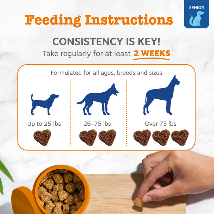 Feeding instructions for senior dog multivitamin bites showing dosage by dog size and hand holding single bite.