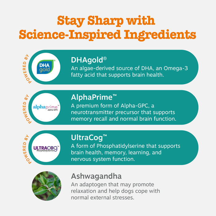 Product packaging showing ingredient information with teal rounded sections listing DHAgold, AlphaPrime, UltraCog, and Ashwag