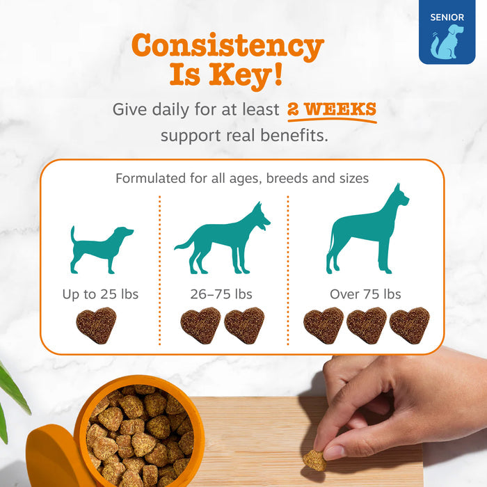 Brown heart-shaped dog treats in orange bowl with dosage guide showing portions for small, medium, and large senior dogs.