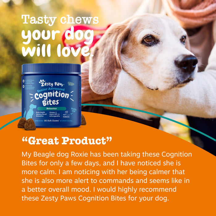 Senior dog treat bottle with soft chews next to elderly beagle being held by person outdoors.