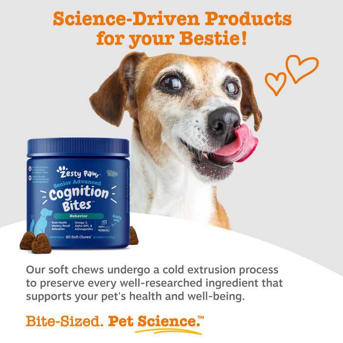 Blue container of Zesty Paw Senior Advanced Cognition Bites with senior dog and soft chew samples displayed.