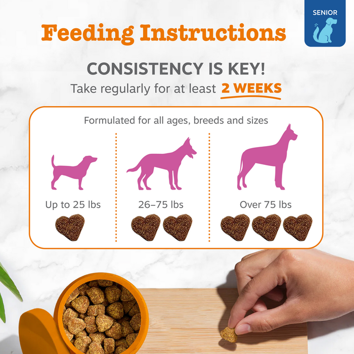 Feeding instructions for senior dog treats showing dosage by weight with silhouettes of small, medium, and large dogs and hea