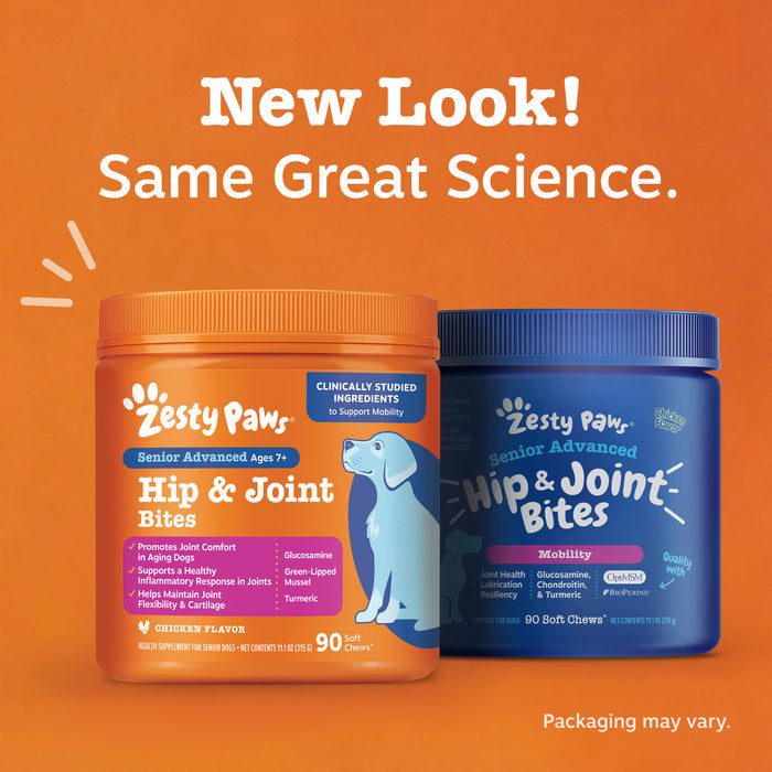 Two containers of Zesty Paw Senior Advanced Hip & Joint Bites for dogs—one orange with blue lid, one blue with dark lid—again