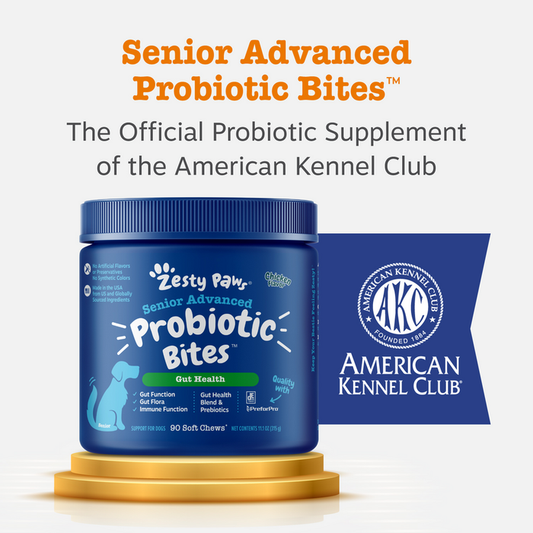 Blue jar of Zesty Paw Senior Advanced Probiotic Bites with blue American Kennel Club flag on gold platform.