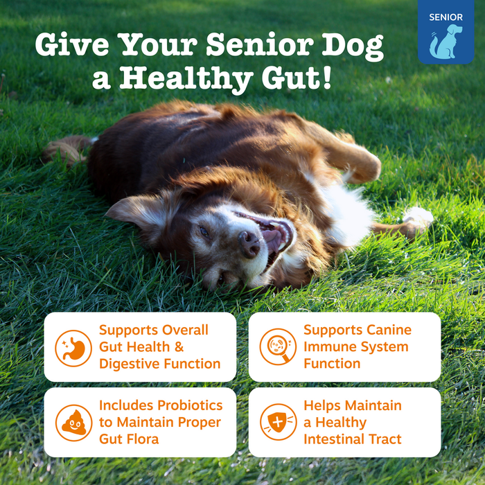 Senior dog lying on grass with product benefits text overlay including gut health and probiotic support claims.