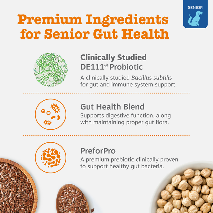 Infographic showing premium ingredients for senior dog probiotics including DE111 probiotic, gut health blend, and PreforPro