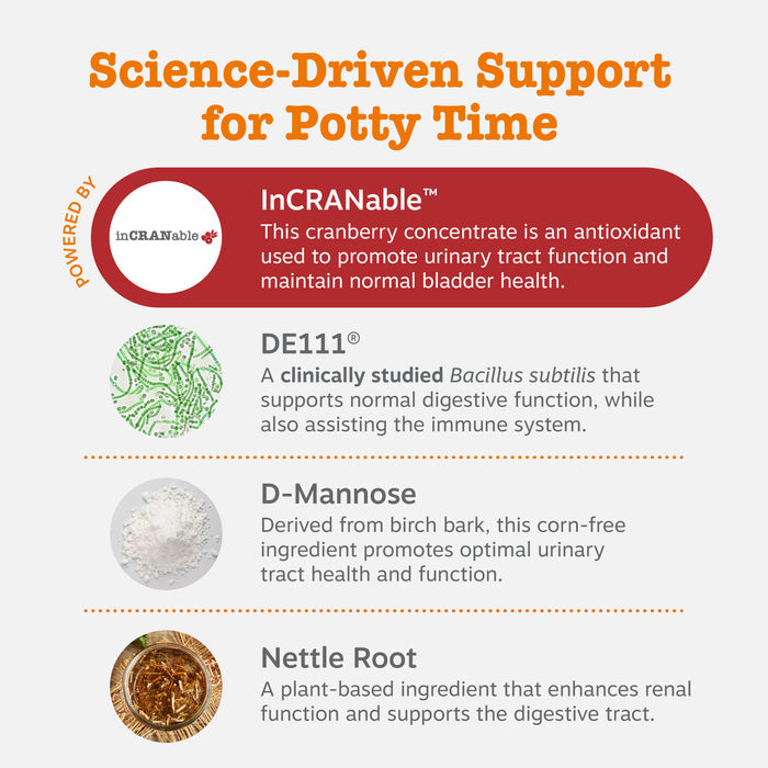 White background infographic listing four ingredients with descriptions: InCRANable cranberry concentrate, DE111 Bacillus sub