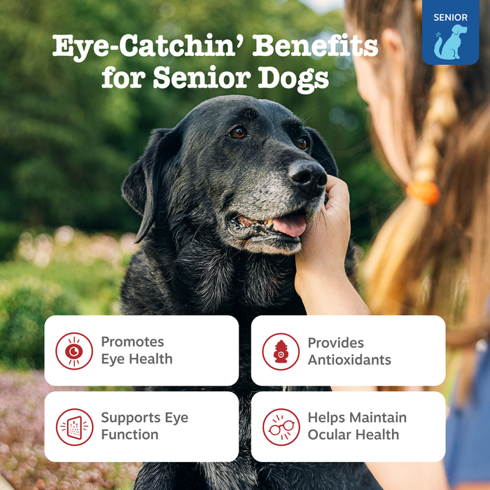 Senior black dog with graying muzzle being hand-fed a treat outdoors, with benefit icons displayed below.