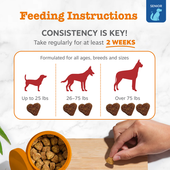 Feeding instructions card showing dosage guidelines for senior dogs by weight with heart-shaped treat examples and hand holdi