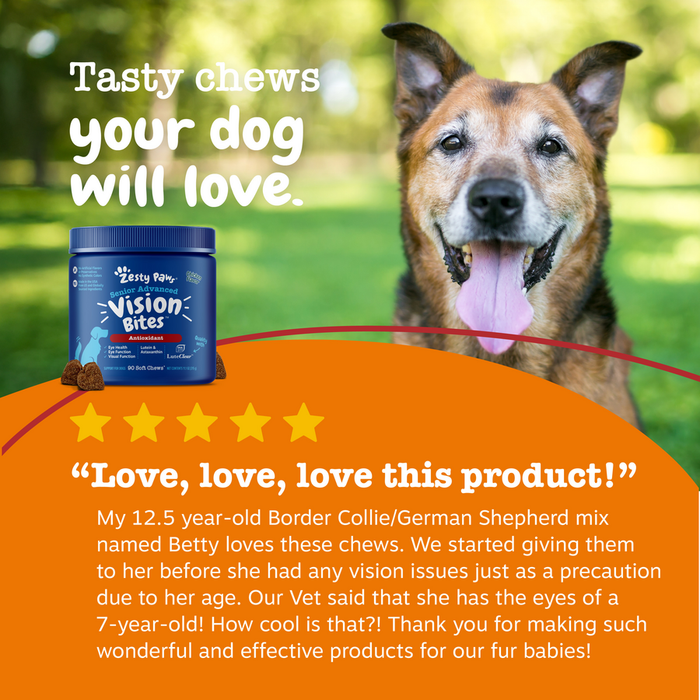 Senior dog with tongue out next to blue Vision Bites container on orange banner with five-star review.