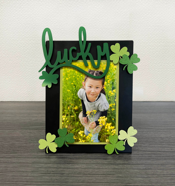 Shamrock Magnets S/6