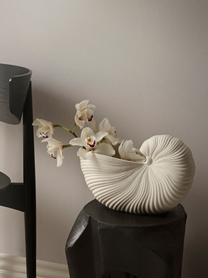 Shell Pot - BEAM