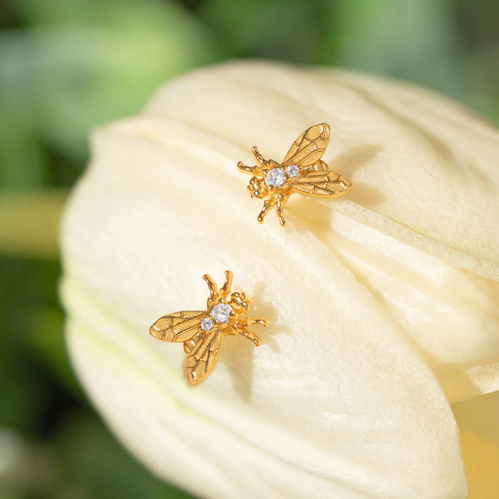 Shoo Fly Studs