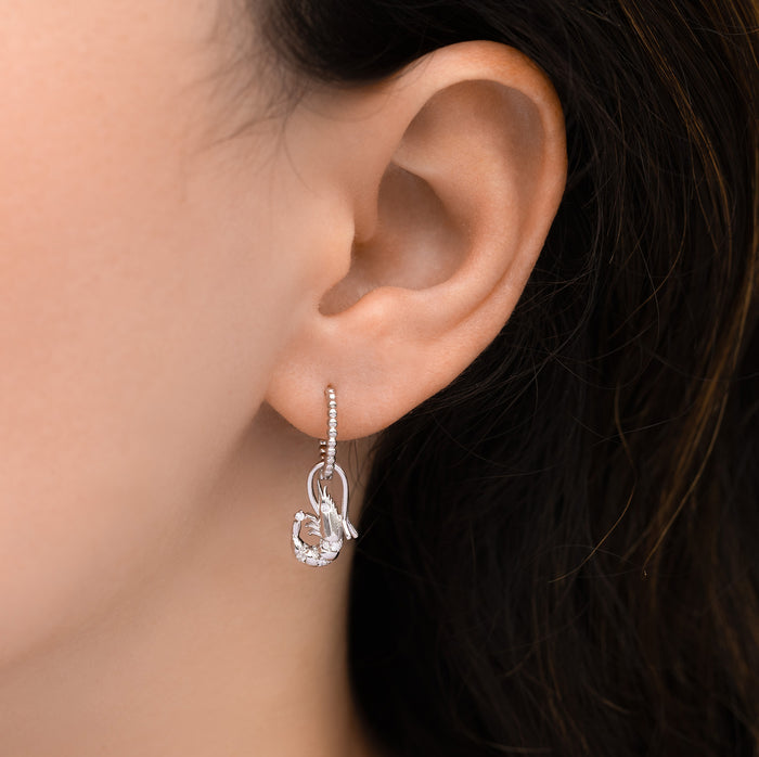 Shrimp Basket Detachable Hoops