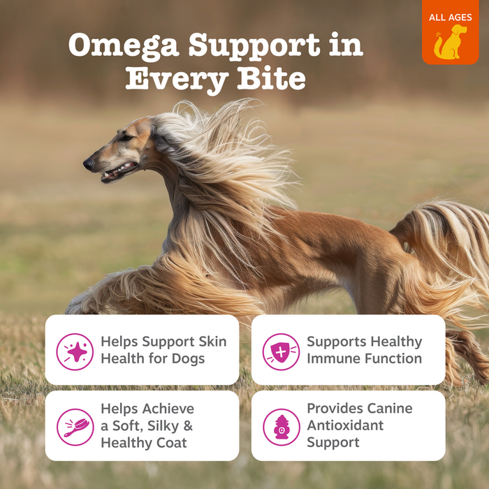 Long-haired tan and white dog running outdoors with product benefits text and orange "All Ages" badge displayed.