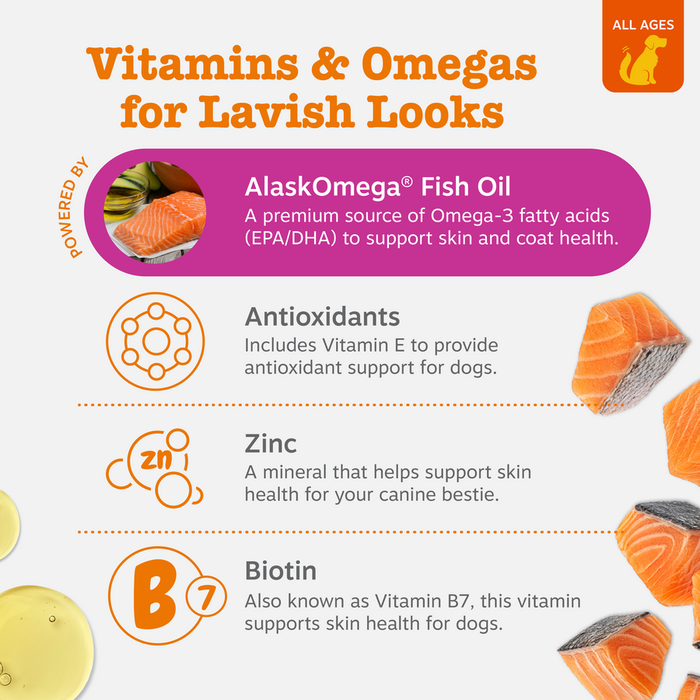 Dog treat bite with salmon, listing key ingredients: AlaskOmega fish oil, antioxidants, zinc, and biotin.