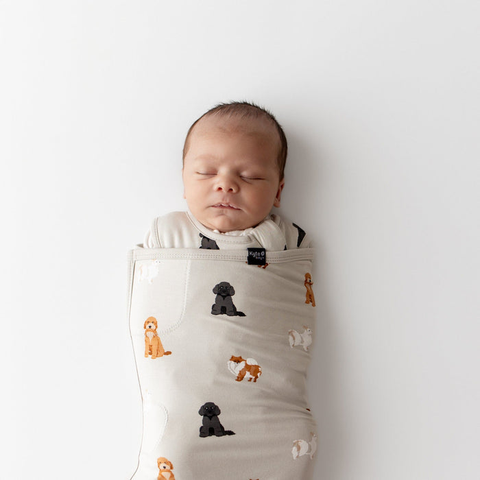 Close up on newborn baby swaddled in a cream colored kyte baby sleep bag swaddler with a dog pattern on a white background