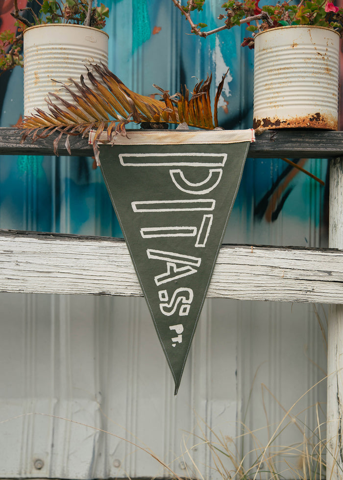 A green pennant with "PTAS" hangs on a rustic shelf, flanked by potted plants in weathered cans, against a colorful wall.