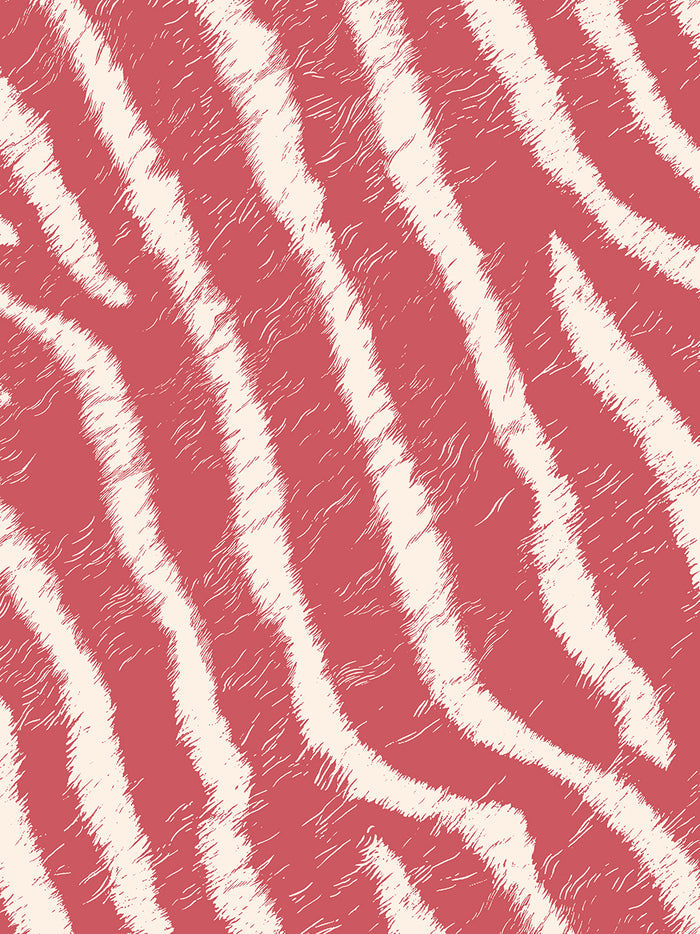 Stallion Wallpaper Border Sample