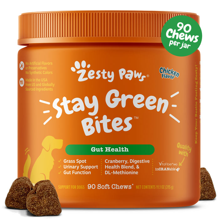 Orange jar of Zesty Paws Stay Green Bites chicken flavor dog chews with brown soft chew pieces displayed in front.