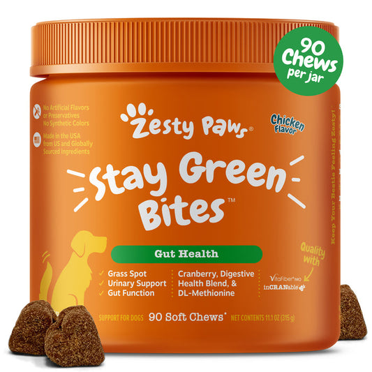 Orange jar of Zesty Paws Stay Green Bites chicken flavor dog chews with brown soft chew pieces displayed in front.