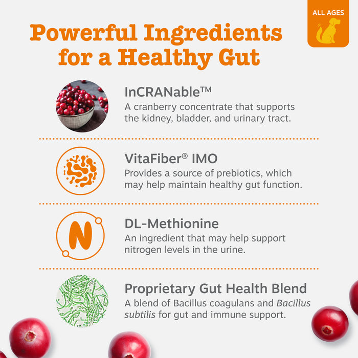 Infographic listing key ingredients including cranberries, prebiotics, DL-Methionine, and bacterial blend for dog digestive h