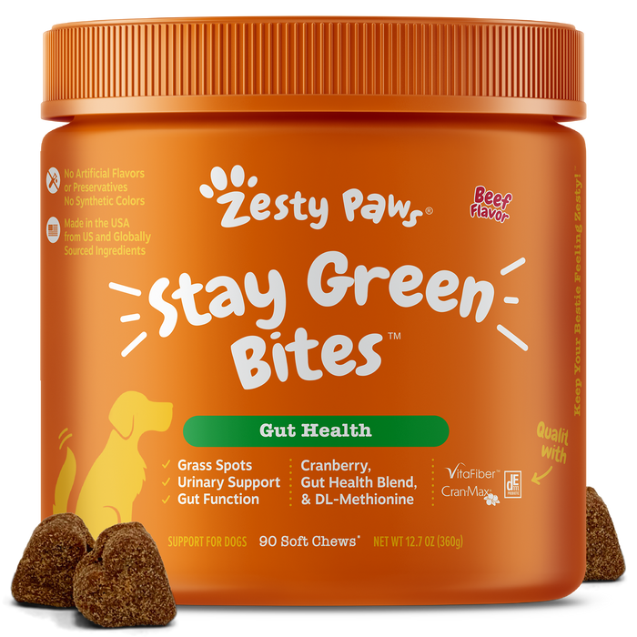 Orange jar of Zesty Paw Stay Green Bites dog treats with brown soft chews displayed in front.