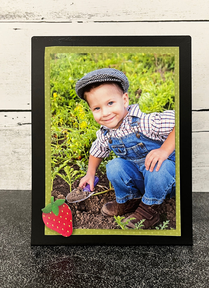 Strawberry Magnet