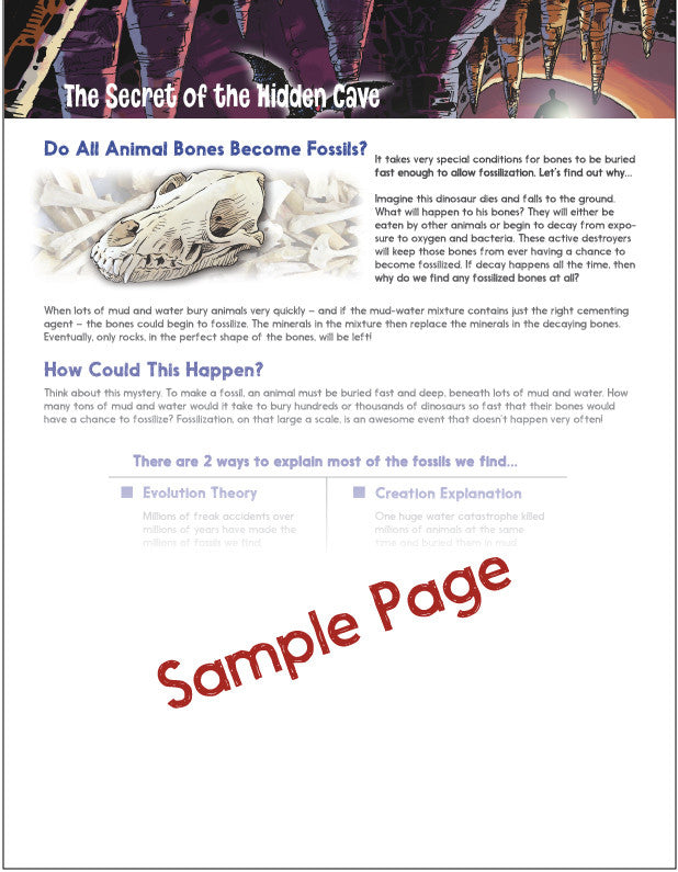 Study Guide Album 1