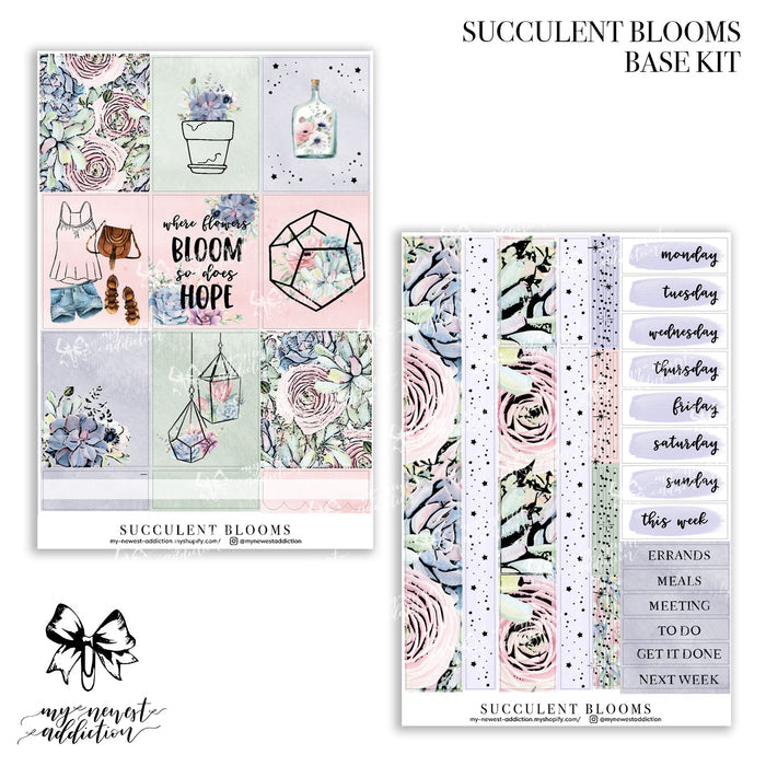 Succulent Blooms Collection