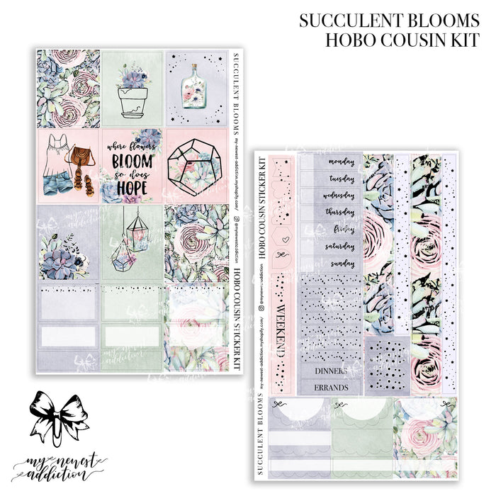 Succulent Blooms Collection