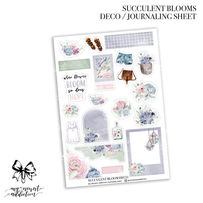 Succulent Blooms Collection