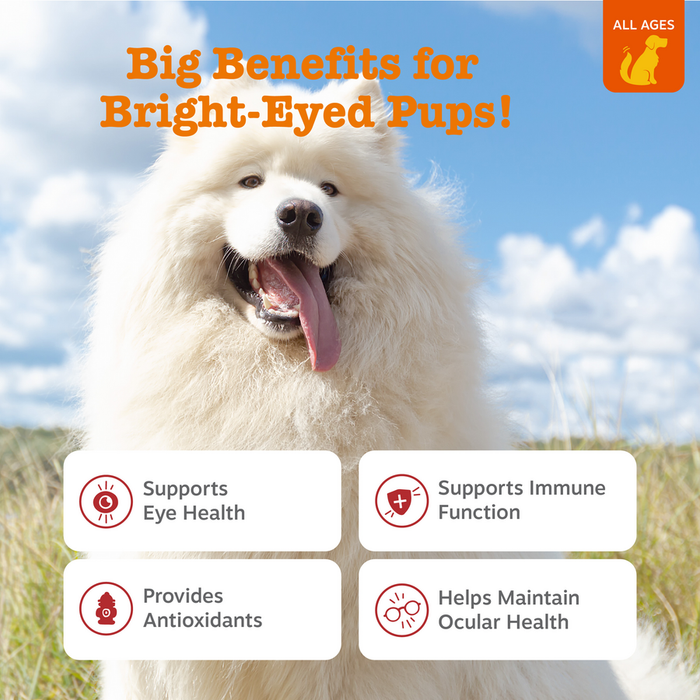 White fluffy dog with tongue out against blue sky and grass background with benefit text boxes.