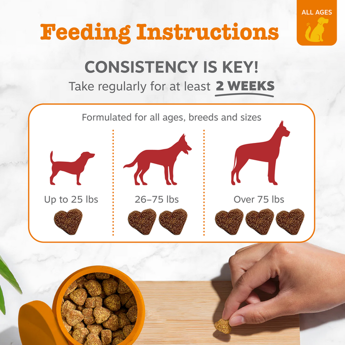 Feeding instructions card showing dosage guidelines for dogs by weight with heart-shaped treats and an orange bowl.