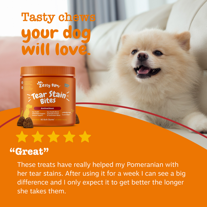 Orange jar of Zesty Paw Tear Stain Bites with brown soft chews next to small white dog on couch.