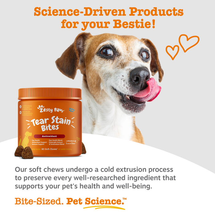 Orange jar of Zesty Paw Tear Stain Bites with brown soft chews displayed next to a brown and white dog with tongue out.