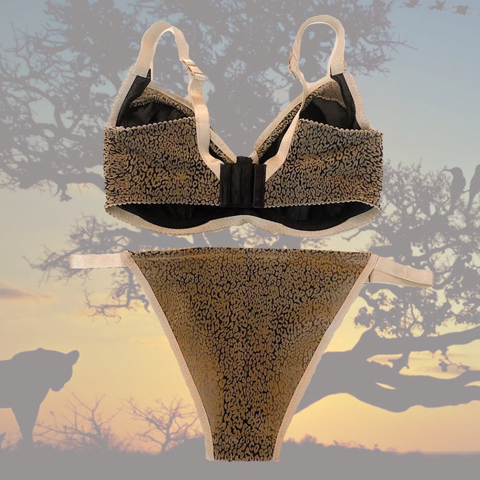 The Neutral Collection - Serengeti Willowdale Bra Kit