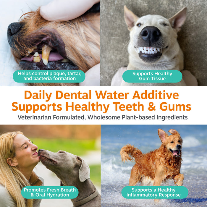 White bottle of dental water additive for dogs with product information and images of dogs' teeth and gums.