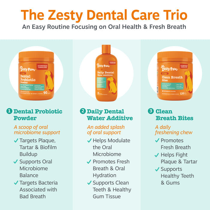 Orange bottle of Daily Dental Water Additive for dogs with pump dispenser and product label.