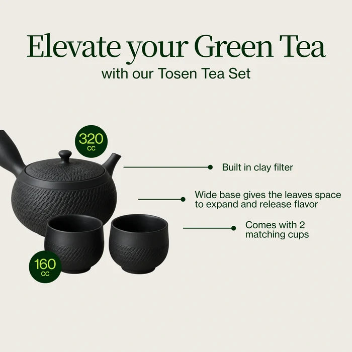 Tosen Kyusu Teapot Set