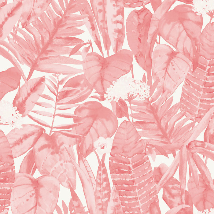 SINGLE ROLL / Pink Lemonade Leaves