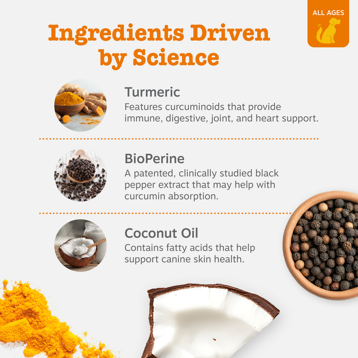 Infographic showing turmeric, BioPerine, and coconut oil ingredients with product bites in wooden bowl on right side.