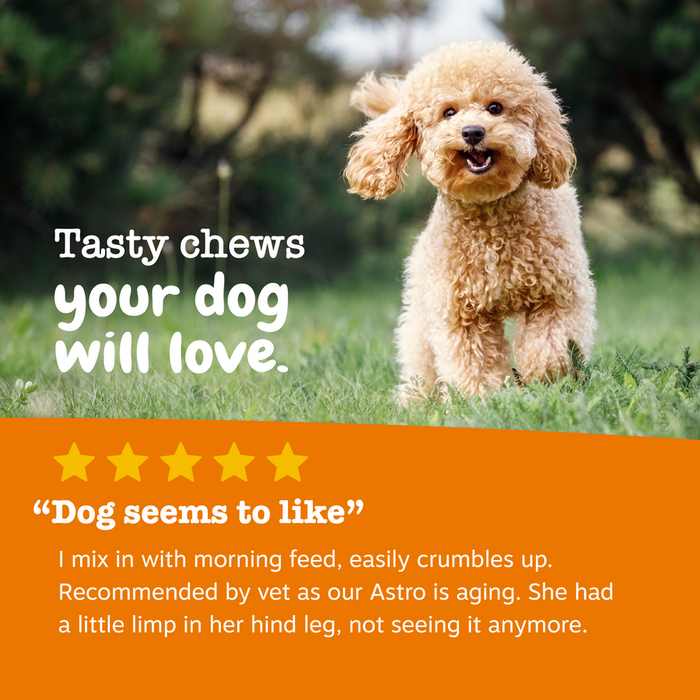 Tan curly-haired dog standing on grass outdoors with promotional text and customer review below.