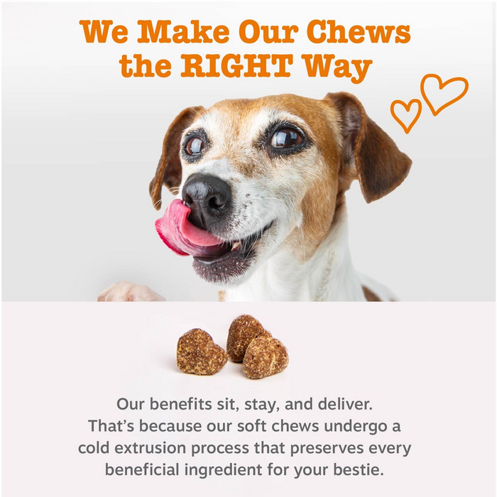 Brown and white dog with pink tongue next to four brown soft chew treats on white background.
