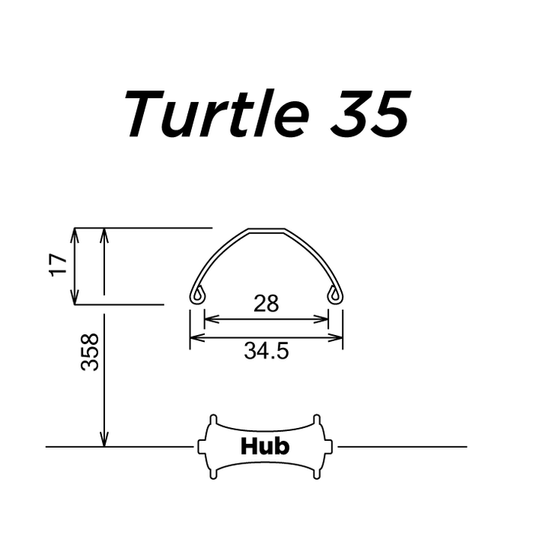 Turtle 35