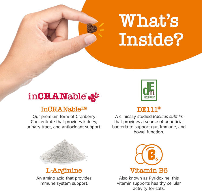 Hand holding small brown pet treat with text and icons displaying product ingredients including cranberry concentrate, probio