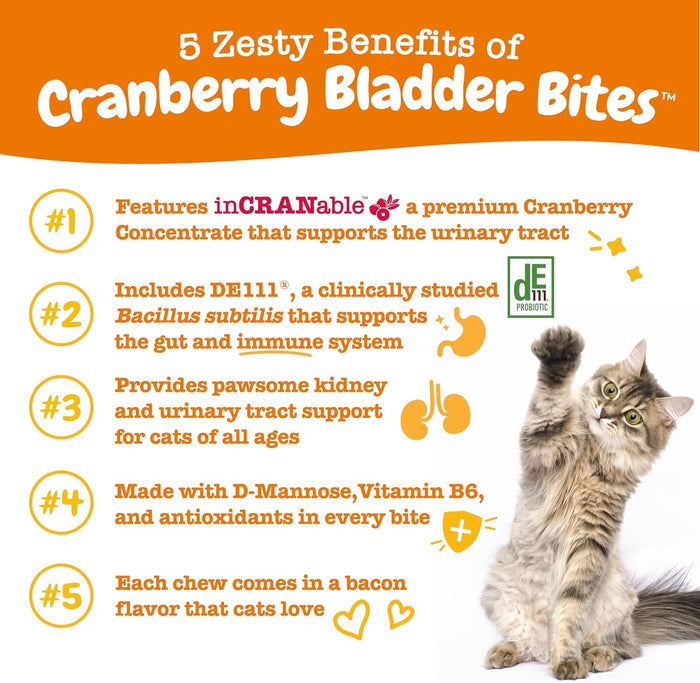 Gray tabby cat sitting and looking upward next to text listing benefits of cranberry bladder bites on orange background.