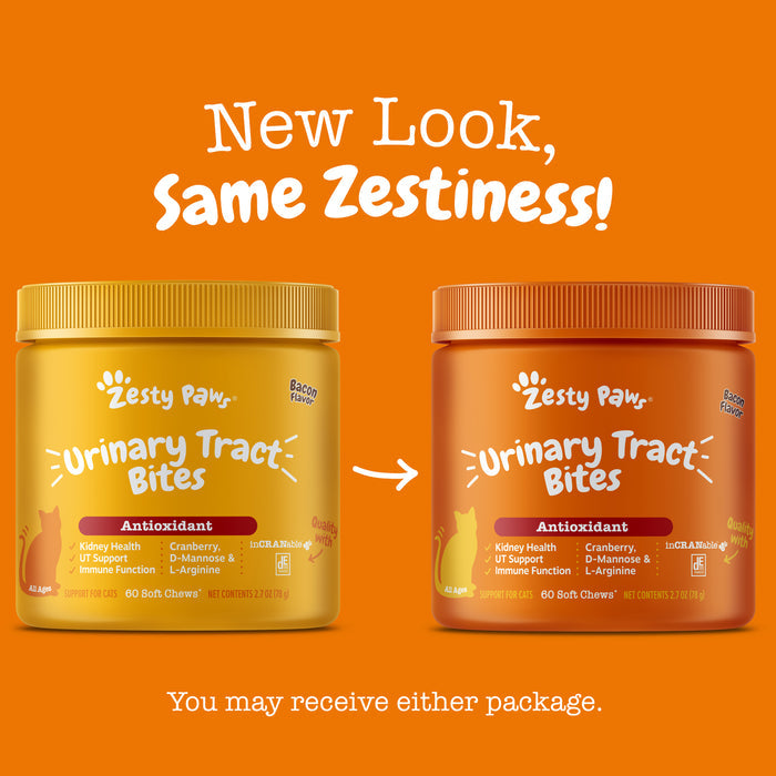 Two Zesty Paw Urinary Tract Bites containers in yellow and copper jars with ribbed lids, 60 soft chews each, against orange b