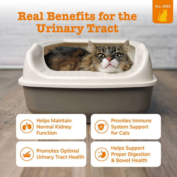 Tabby cat sitting in white and gray litter box with benefit text displayed below.